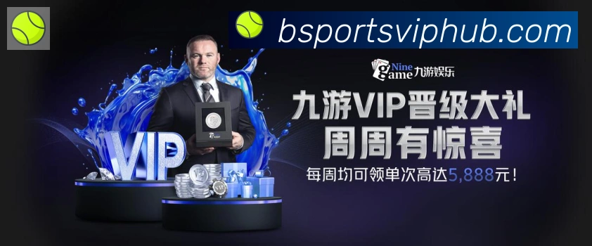 Bsports官网荣誉