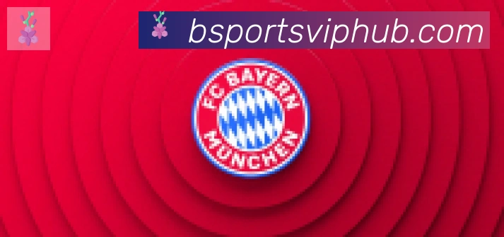 Bsports官网合作伙伴