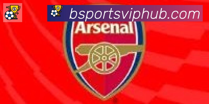 Bsports官网合作伙伴